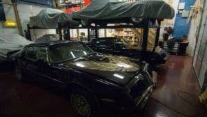 collecting classic mustangs and trans ams