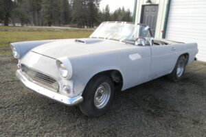 1955 ford thunderbird